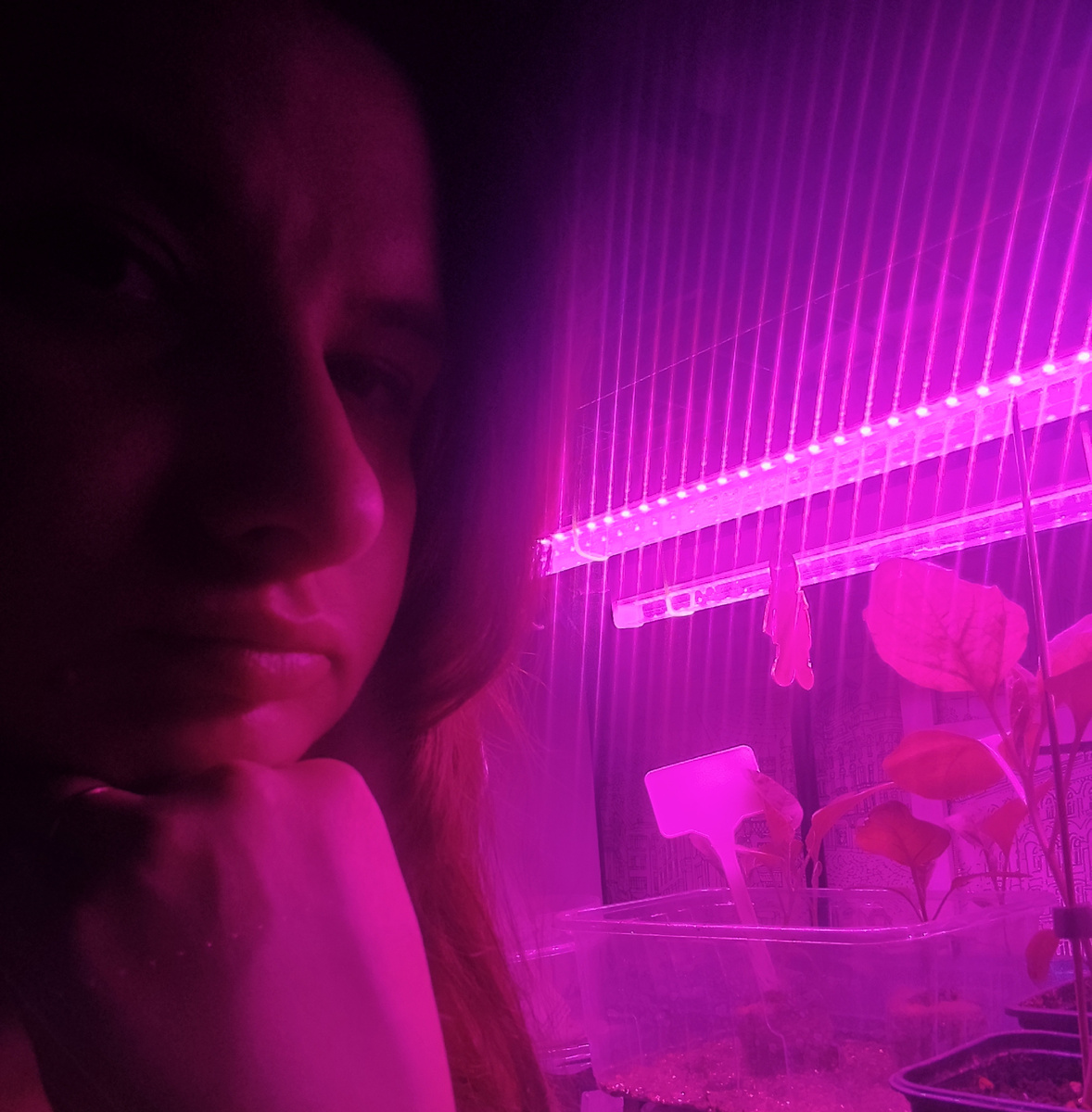 Бытие человека и рассады 🧐