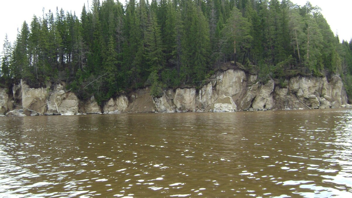     Источник: vostokmedia.com