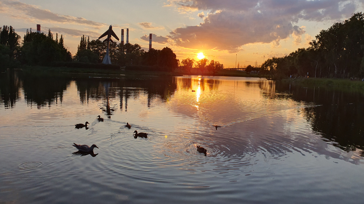 Парк авитаоров