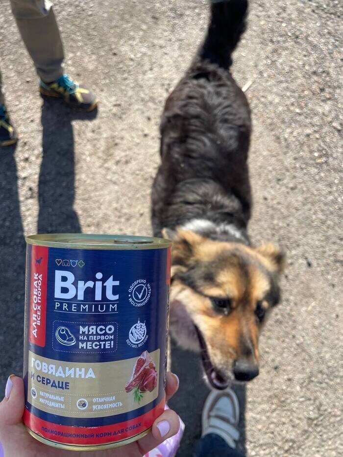 Люся радостно бежит принимать подарки