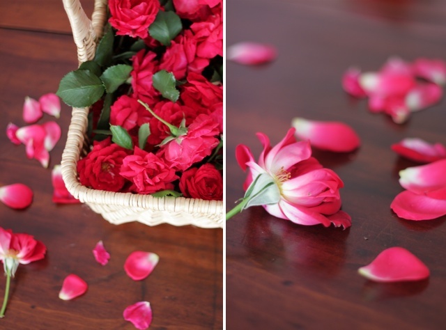 Фото Emiko Davies