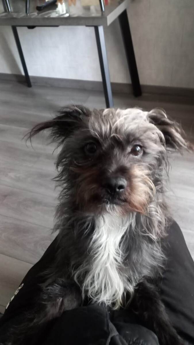 Здесь он ещё дома. Хозяйки уже нет. Но дом у него ещё был тогда😢