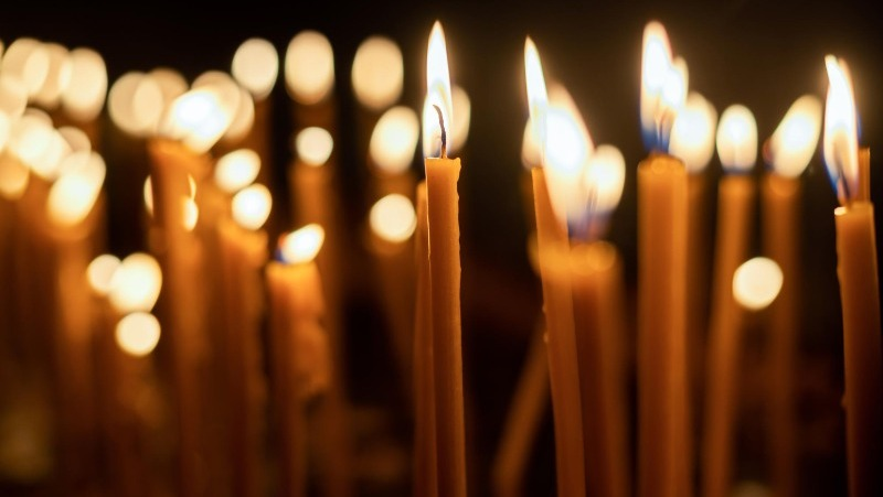 Фото: @frimufilms / freepik.com