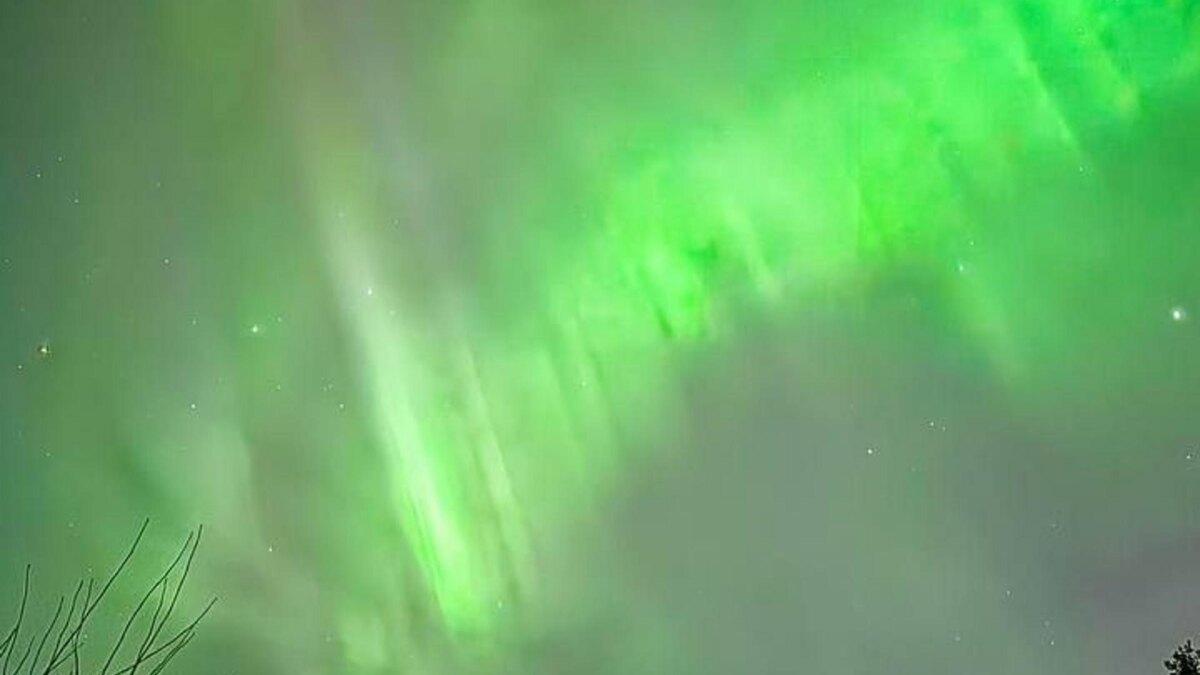    Фото: АстроФотоБолото