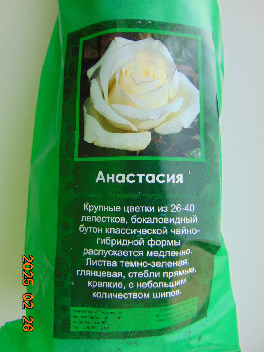 Упаковочный пакет розы Анастасия (Anastasia)