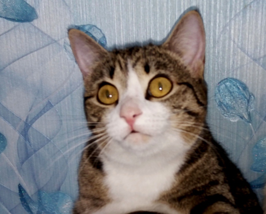 Фото из личного архива автора.