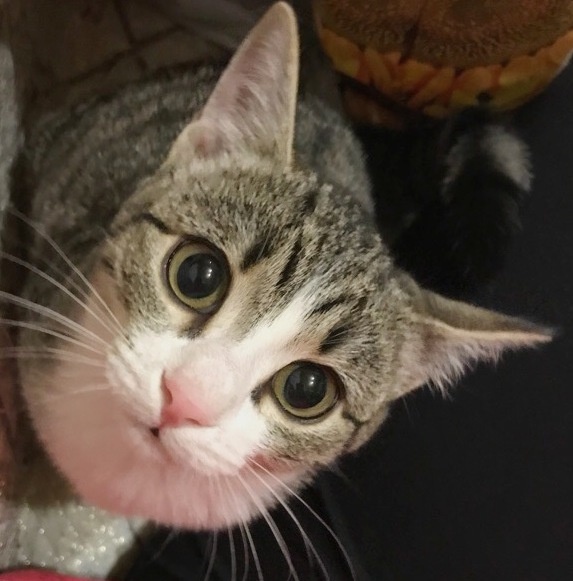 Фото из личного архива автора.