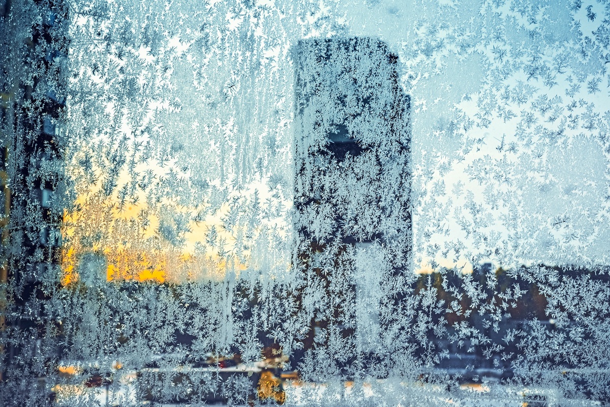 фото Сергея Елесина "Изморозь" 