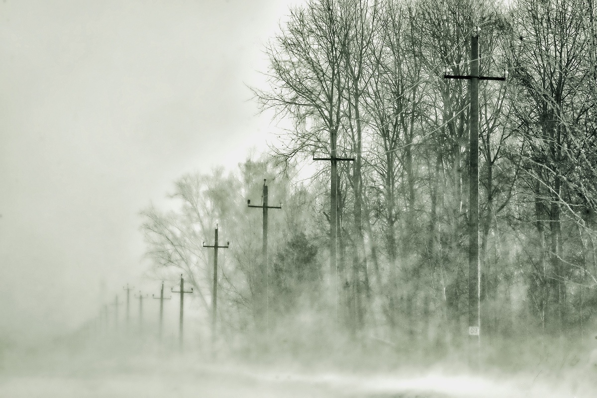 фото Сергея Елесина "Метель"