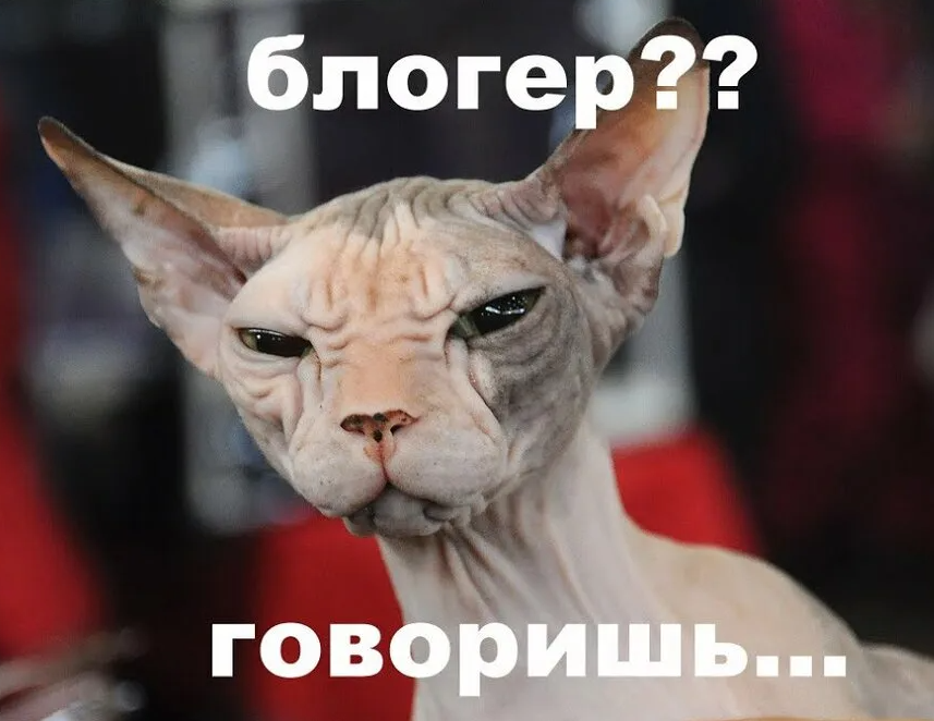 Яндекс картинки