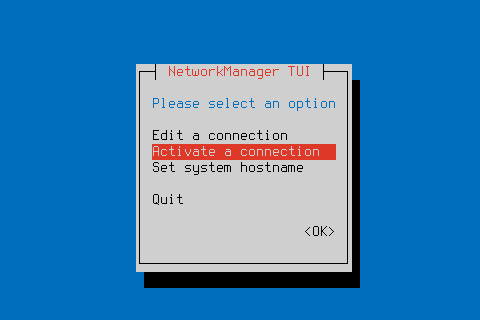 Главный экран утилиты nmtui