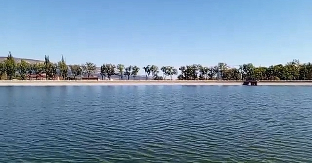 Старое озеро летом