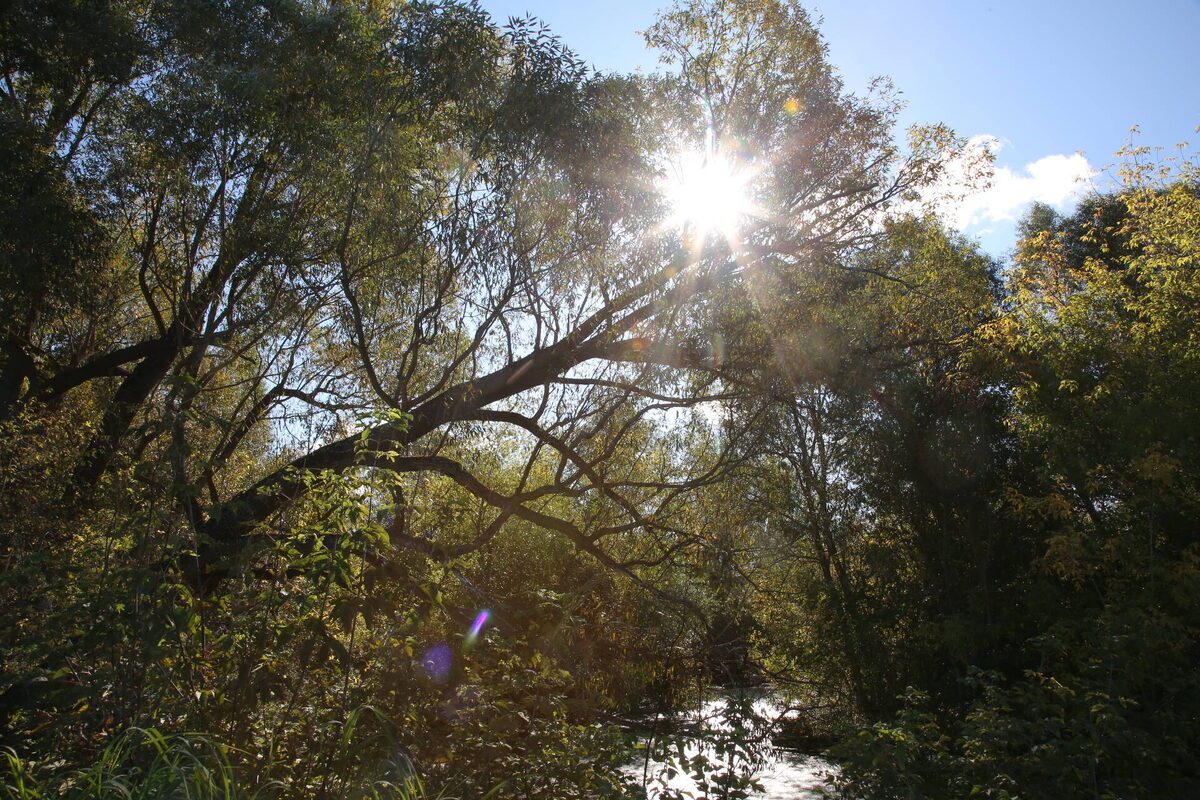 Фото: © Султан Исхаков / «Татар-информ»