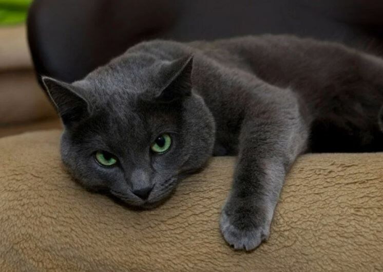 Забудешь про такого))