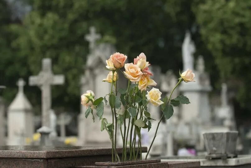 Изображение взято из открытых источников интернета. 