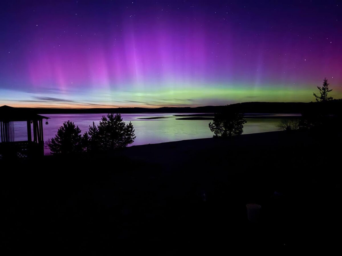 © Фото: t.me/roman_trillionaire