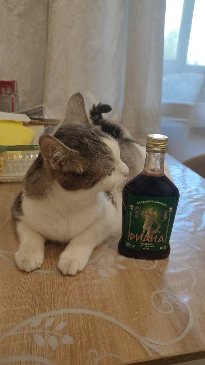 Старшенький