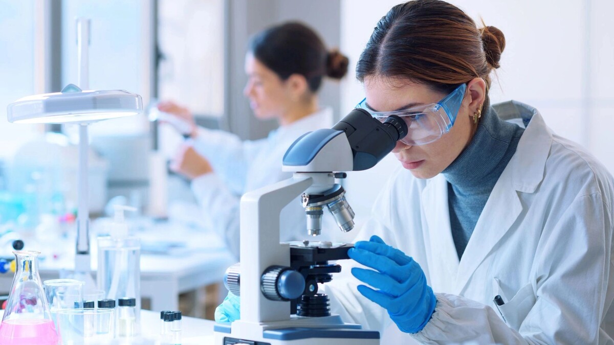    Фото: Stock-Asso/Shutterstock/Fotodom