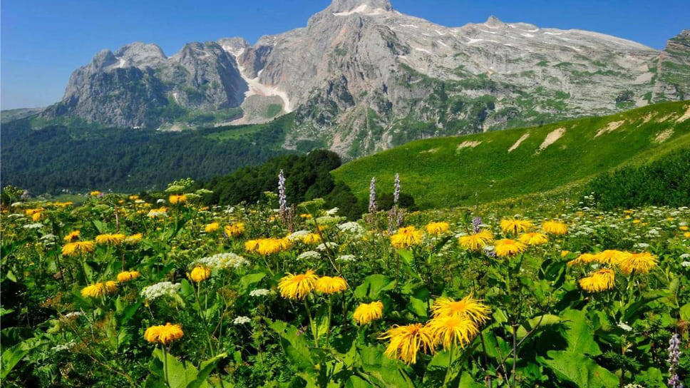 Фото: прокуратура Кубани