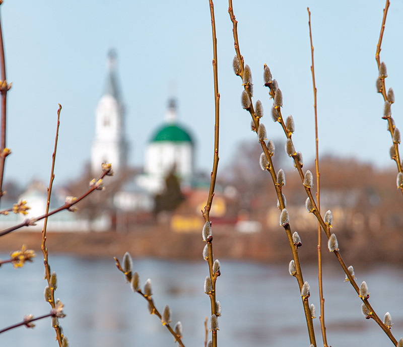 Погода в Твери 17 апреля. Дождь
