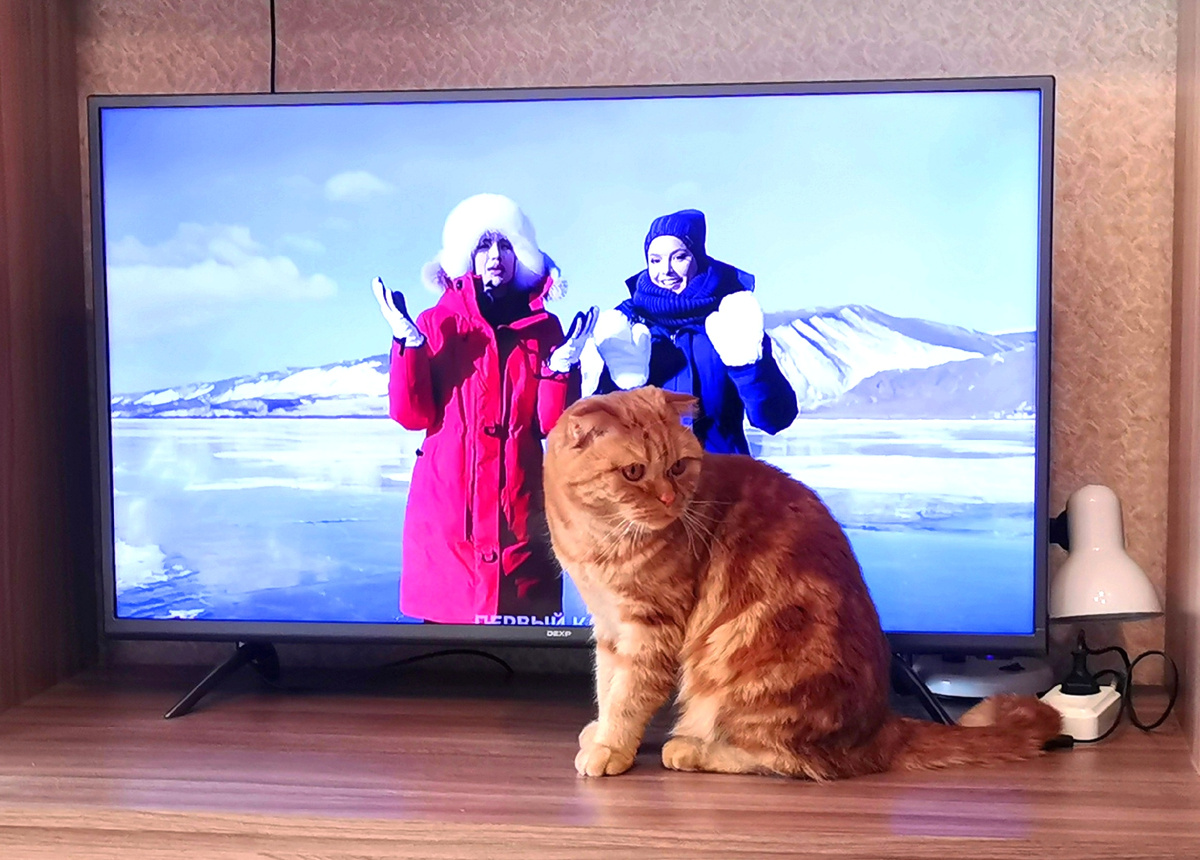 Бася и ведущие соревнований, фигуристки Алина Загитова и Анна Щербакова.