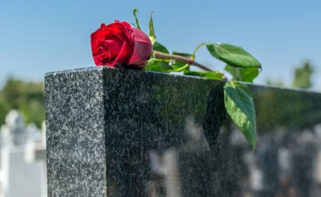    Фото: freepik.com/freepik Александра Горохова