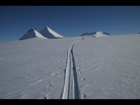 В Гренландии.