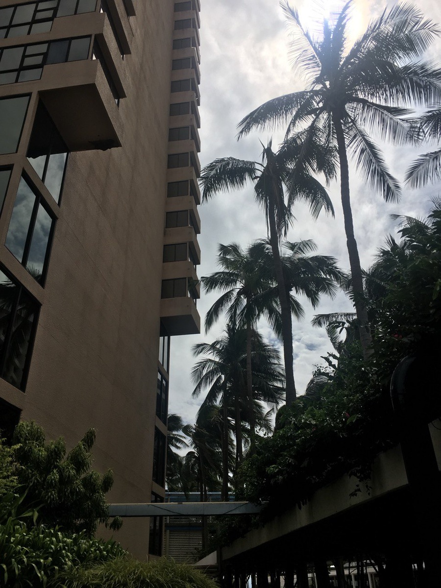 Кристина Тарасова 