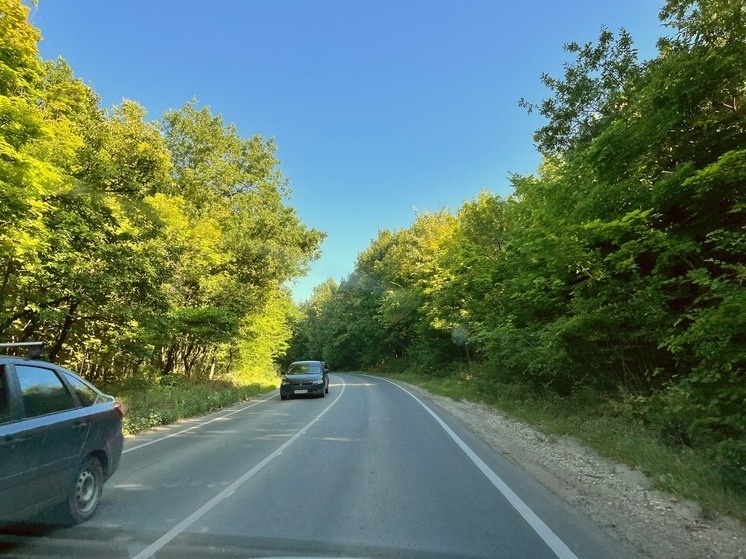     Трасса. Фото: Сергей Климушев