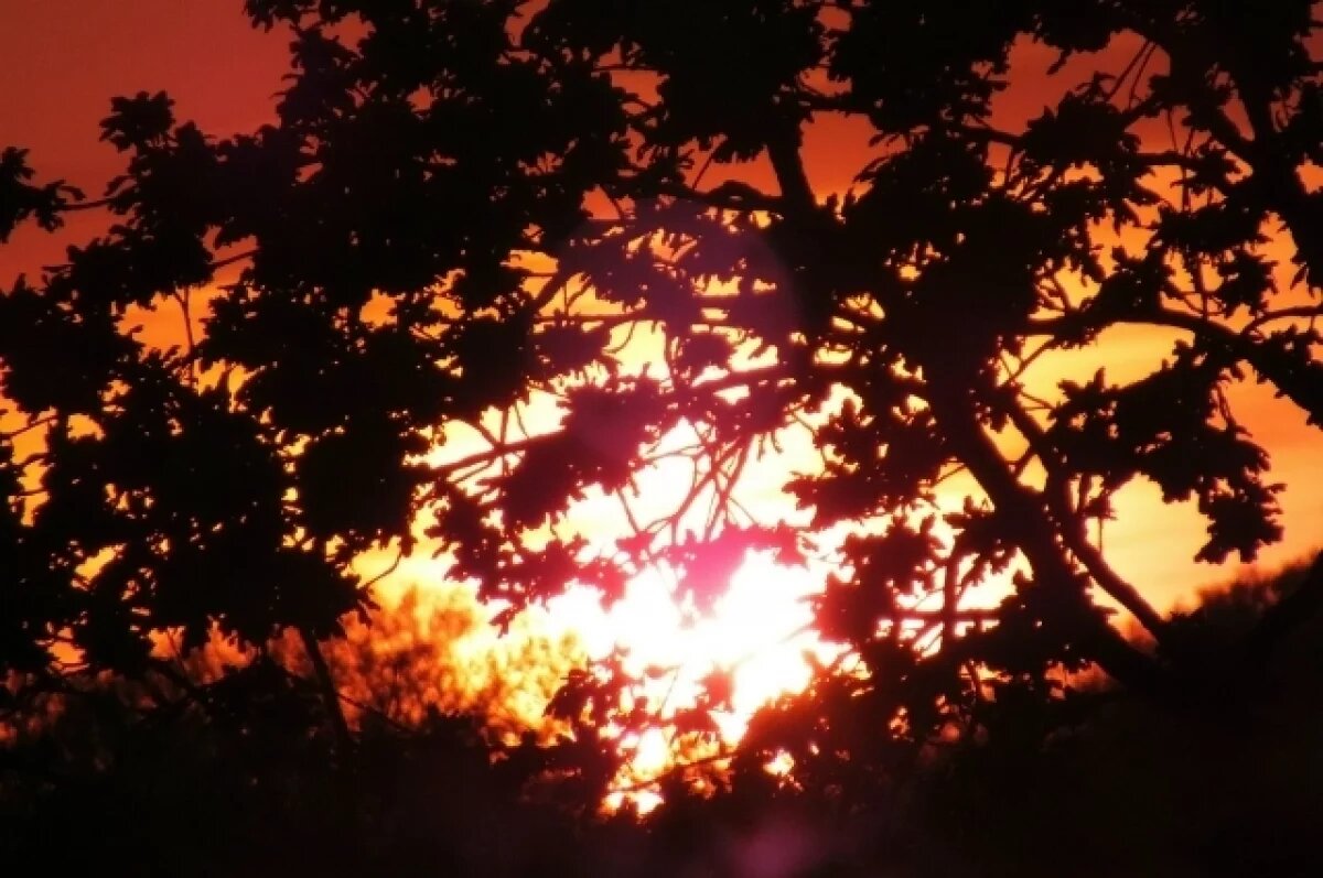    В Краснодарском крае 17 апреля воздух прогреется до +23 градусов