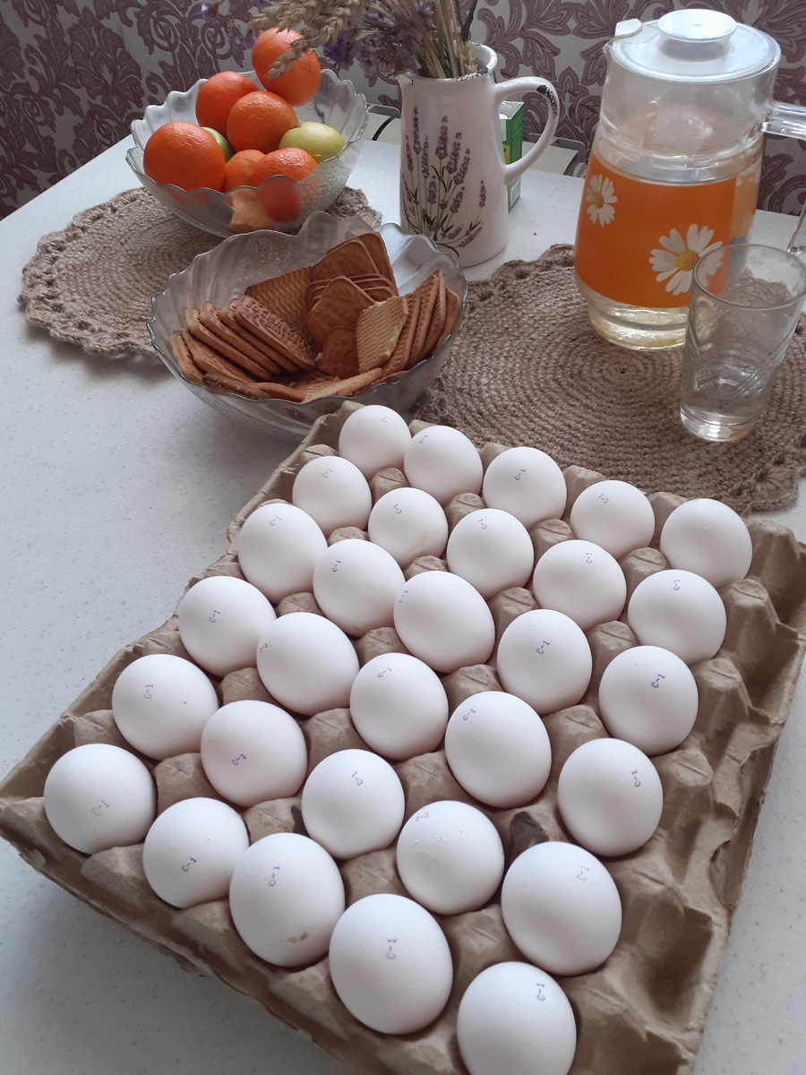 Хорошие, крупные, с жёлтым желтком, 100р десяток.Взяли 2 решётки, одну себе, одну сыну.