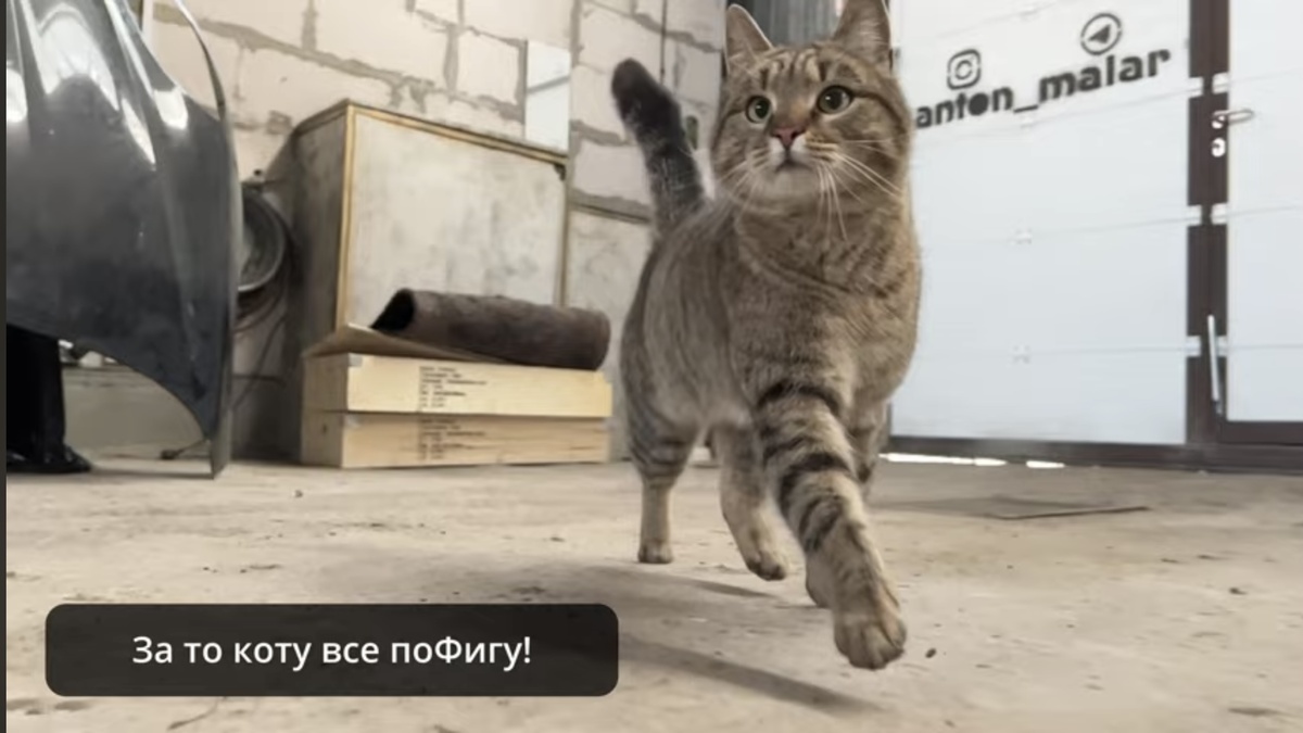 Звезда последней серии по восстановлению Porsche