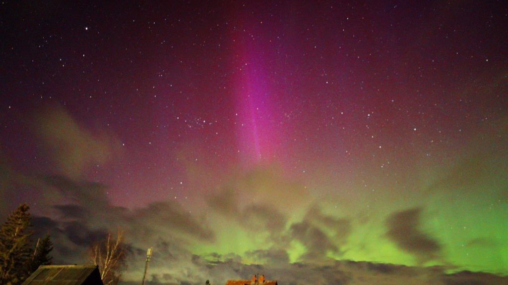    Фото: Евгений Харитонов
