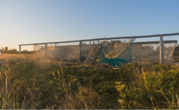 Сети на просушке