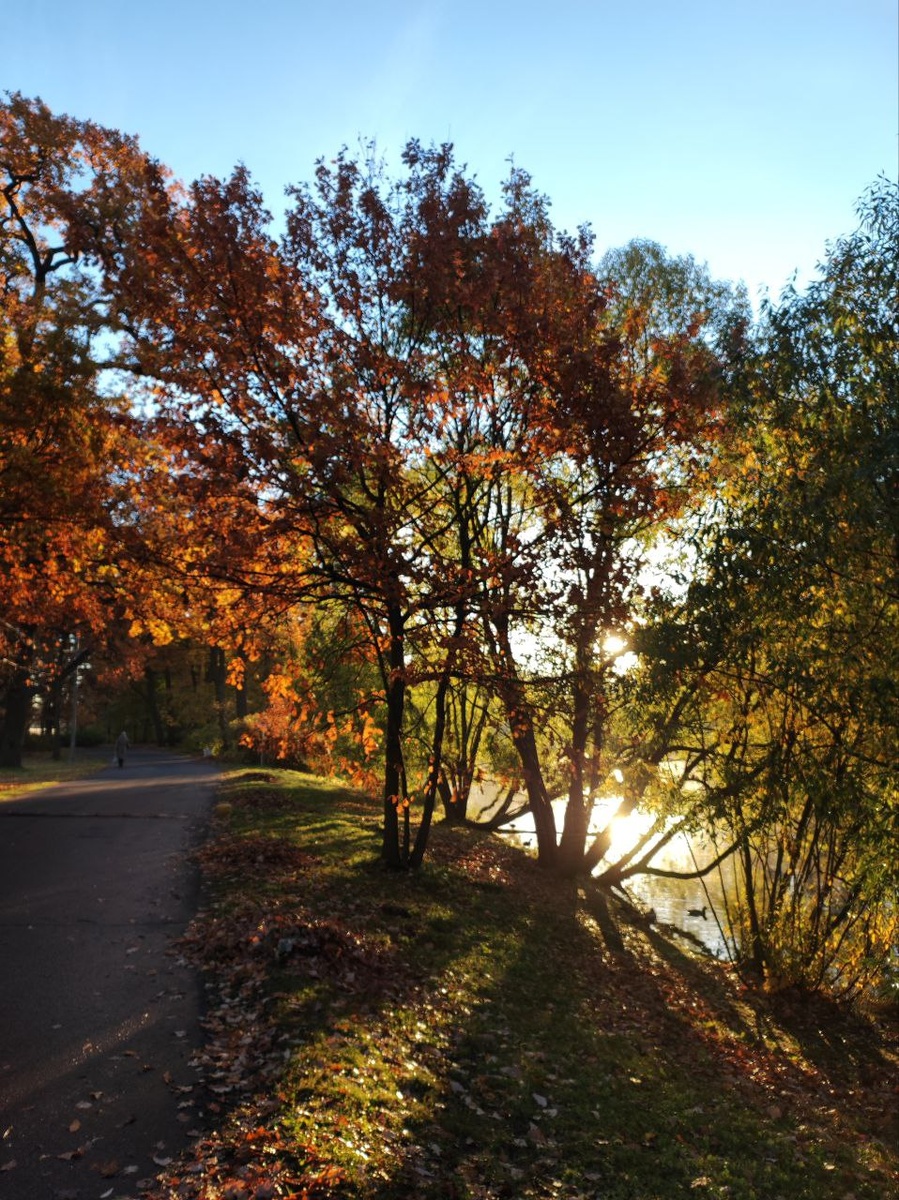 Елагин остров