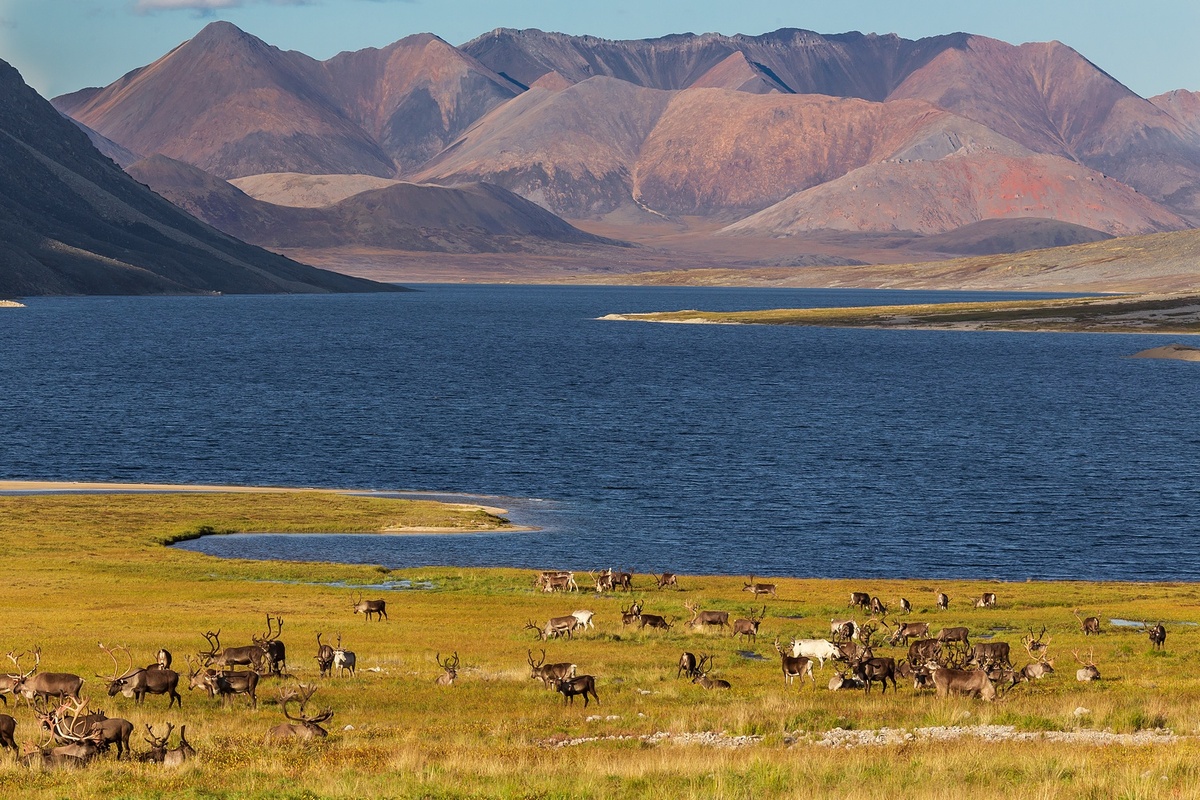«РГ» Чукотка