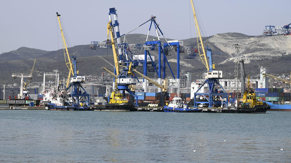 Фото: пресс-служба МО город-герой Новороссийска