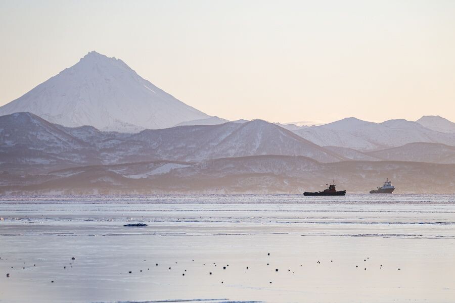     / Источник: © Елена Верещака/ТАСС