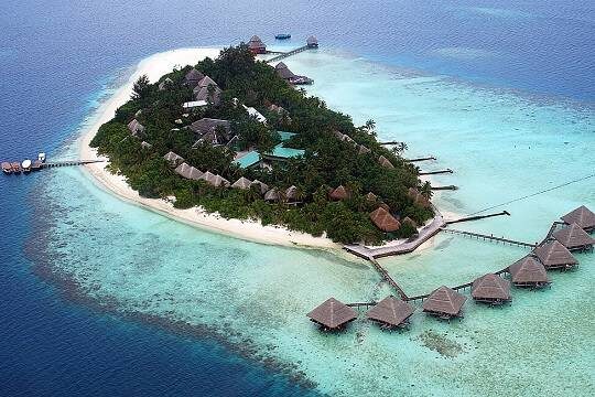    Акула напала на российскую туристку на Мальдивах