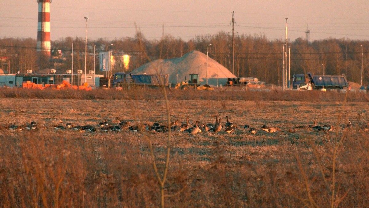    Фото: t.me/kazdoytvaripopare