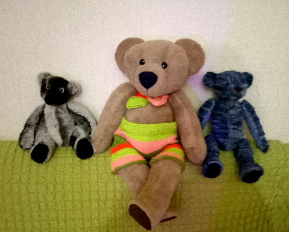 Три медведя Капюшон, Балбес, Джинселька. 