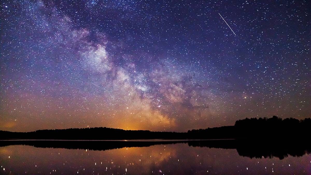    Фото: Shutterstock