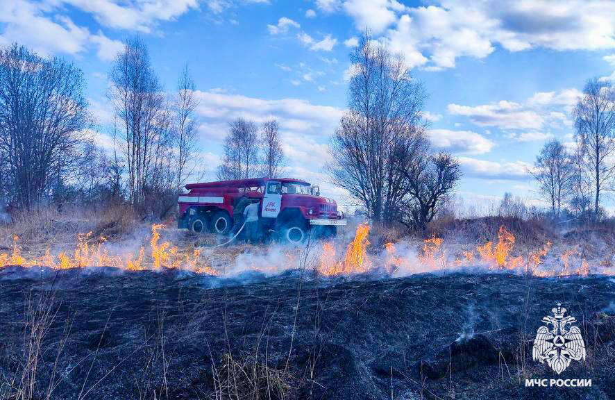 Больше 12 гектаров выгорело в Тверской области за сутки