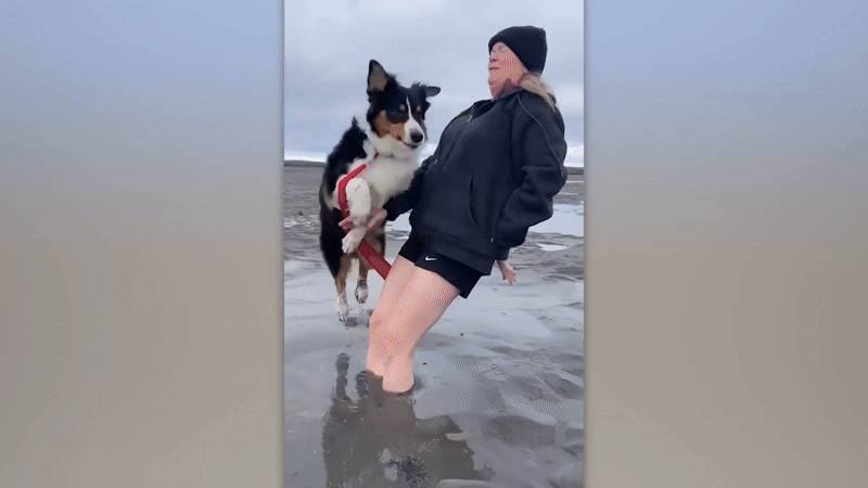 Нравится Формат? Поддержи Канал Лайком