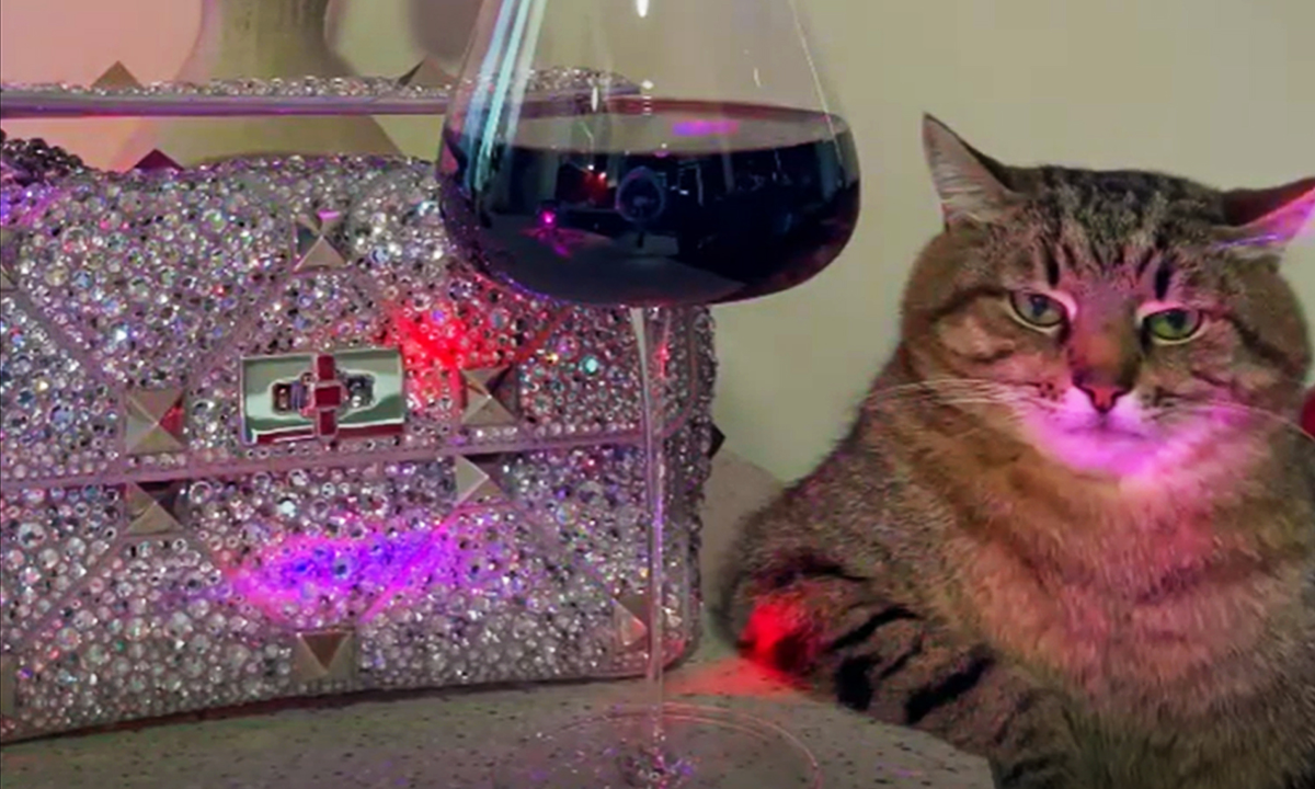 Кот Степан, конечно, звезда. А Петя - нет.