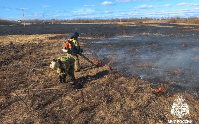    5 ландшафтных пожаров потушили в Удмуртии за сутки