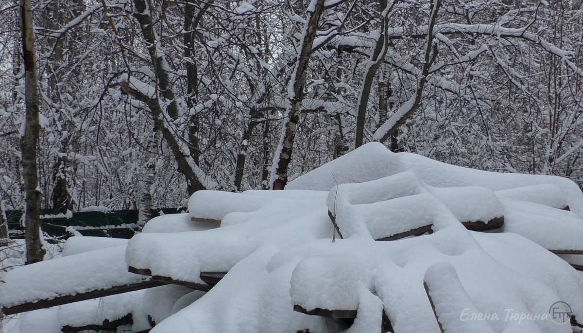 Фото: Елены Тюриной. Зима вернулась. Апрель. 2025