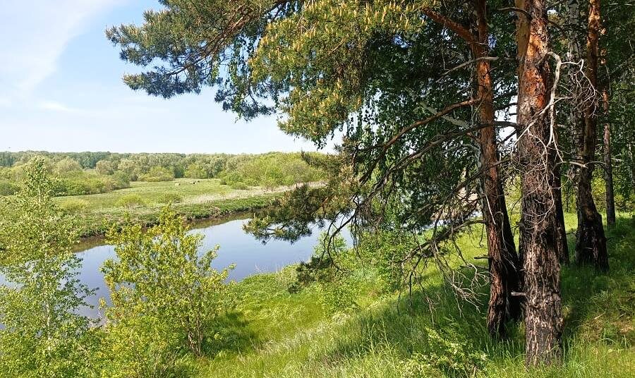 🏔КУДА ПОЕХАТЬ В ВЫХОДНЫЕ? МАЛОИЗВЕСТНАЯ И КРАСИВАЯ ЭКОТРОПА В ЧЕЛЯБИНСКОЙ ОБЛАСТИ (СЕЛО МИАССКОЕ)