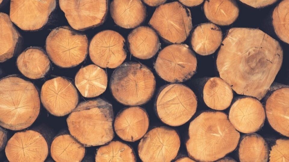    Древесина. Источник: pixabay.com