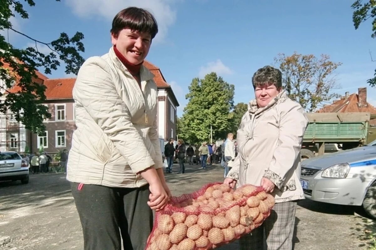    Продукт-рекордсмен по подорожанию назвали в Волгоградстате